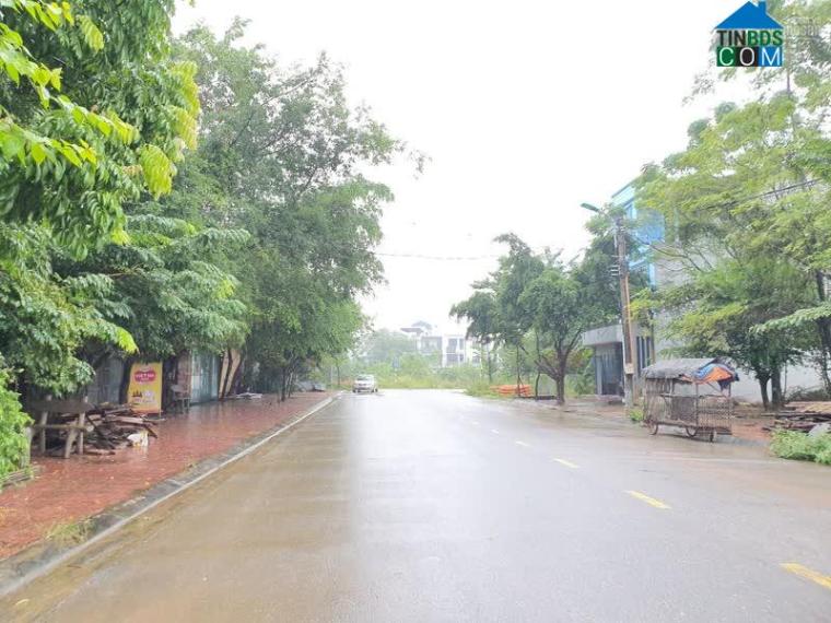 Hình ảnh Quang Trung, Vĩnh Yên, Vĩnh Phúc