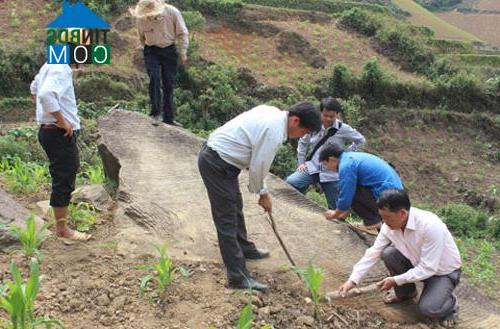 Hình ảnh Dế Xu Phình, Mù Cang Chải, Yên Bái