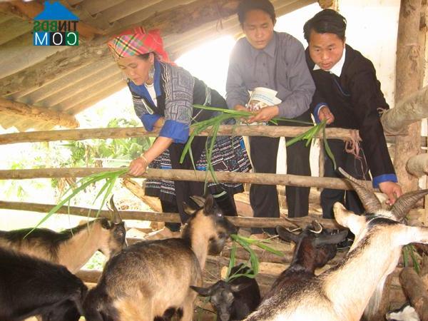 Hình ảnh Hồ Bốn, Mù Cang Chải, Yên Bái