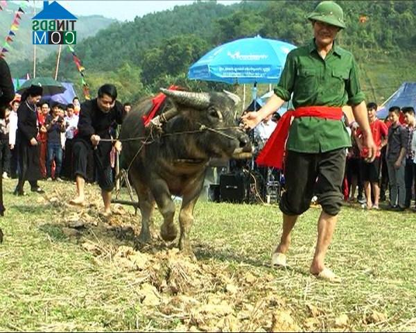 Hình ảnh Bảo Lạc, Cao Bằng