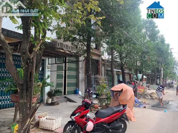 Hình ảnh Xuân Thủy, Quy Nhơn, Bình Định