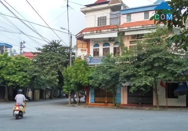 Hình ảnh Bạch Đằng, Nam Định, Nam Định