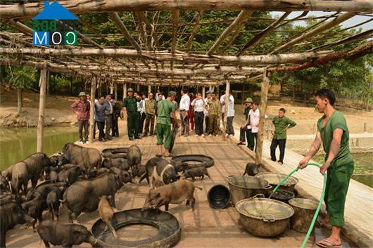 Hình ảnh Quang Chiểu, Mường Lát, Thanh Hóa