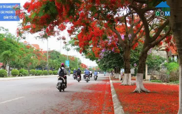 Hình ảnh Phạm Văn Đồng, Đồ Sơn, Hải Phòng
