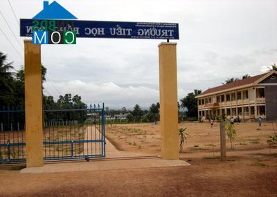 Hình ảnh Bồng Sơn, Hoài Nhơn, Bình Định