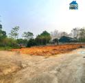 Bán đất đầu tư tại KCN Tam Dương, Vĩnh Phúc. 1068m2 giá chỉ 2,58 tỷ