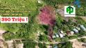 Giảm 100tr Đất Vườn Vùng Ven Nha Trang rộng 220m tặng thêm 2720m giá chưa tới 400tr Tại Khánh...