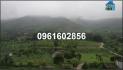 Chính chủ bán đất vị trí đẹp tại xóm Liên Hoà, xã Cao Sơn, Lương Sơn, Hòa Bình; 0961602856
