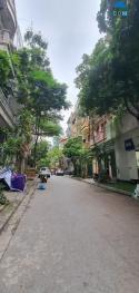 Bán gấp nhà phố Trần Quang Diệu, phân lô, ô tô tránh sống đẳng cấp, kinh doanh văn phòng, 56m,...
