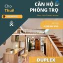 Phòng Trọ HCM Lý Tưởng? Đủ Loại Phòng - Tiện Nghi Đầy Đủ - Giá Cả Hợp Lý