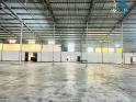 Cho Thuê Nhà Kho 810m² Tại Cẩm Lệ – Giá Chỉ 46k/m²!