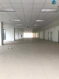 Cho thuê mặt bằng thương mại - văn phòng tại Trần Thái Tông, 1500 m2, giá 310 nghìn/m2/tháng