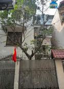 Duy nhất 1 căn phố Cát Linh - cách 1 nhà ra phố - ngõ rộng - 53m chỉ 13.x tỷ