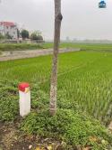 Mình Cần Bán Lô Đất Đẹp Ở Thị Trấn Thắng-H.Hiệp Hòa-Bắc Giang