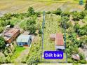 Bán đất tặng nhà Cư Ê Wi- Cư Kuin - Đắk Lắk dt 1531m2 sẵn 150m2 thổ cư sẵn nhà cấp 4 chỉ việc...
