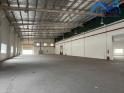 Cho thuê xưởng 6.000m2 KCN AMATA Biên Hòa Đồng Nai