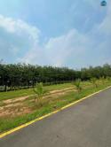 Đất Tân Định Bến Cát Giá Rẻ Gần Đại Nam