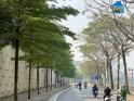 Bán đất mặt đường Bưởi, Ba Đình, 2 mặt đường, diện tích 60m2 full thổ cư, giá chỉ 1x tỷ, x mầm...