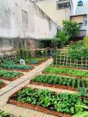 Bán Đất Tặng Vườn Rau Sạch Ngay Vành Đai 2 - Linh Đông - Thành Phố Thủ Đức