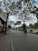 Mặt phố Nguyễn Khang, tòa nhà 7 tầng TM, 2 mặt phố ô tô, 72/82m MT5m, giá chào 47.5 tỷ