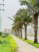 Bán Lô Đất Nền Sông Công Park City – Hướng Đông Nam Mát Mẻ, Đắc Địa Giữa Trung Tâm Phát Triển