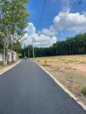 Đất Dầu Tiếng Bình Dương 300tr. (250m Có 100tc)