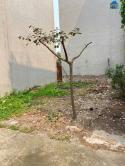 Bán đất tổ 7, Quang Minh, Mê Linh. Gần đường Võ Văn Kiệt và khu công nghiệp