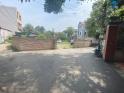 bán 700m đất trồng cây lâu năm tại Cổ Loa - Đông Anh - Hà Nội