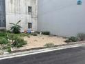 78,8 M2 Đấu Giá X8 Nguyên Khê Giá Đầu Tư