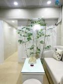 Bùi Ngọc Dương - Hai Bà Trưng - Hà Nội