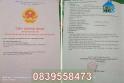 Vị trí vàng !! Bán nhà góc 2MT số 1335 Đường 3/2, P16, Q.11, TP HCM, 19 tỷ, 0839558473