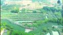 Bán 29.000m2 Đất Tại Ấp 2, Xã Thanh Hòa, Huyện Bù Đốp, Tỉnh Bình Phước.