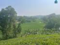 Bán 1440m2 đất tại thôn 2, Ba Trại, Ba Vì, Hà Nội. Giáp dự án FLC View hồ