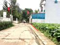 Bán đất Đồng Bông, Kim Long, Tam Dương, Diện tích: 100m2, giá : 1,1x tỷ
