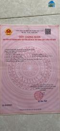 Chính Chủ Cần Bán Gấp Lô Đất Tại- Tỉnh Tiền Giang