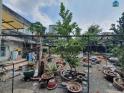 Bán đất mặt tiền Linh Đông , Thủ Đức, 1127m2, full thổ cư, Ngang khủng gần 26m, Gía chỉ 70 Tỷ TL