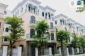 Bán Nhanh Căn Tứ Lập Hải Âu – Vinhomes Ocean Park 2 – Văn Giang, Hưng Yên