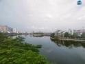 Bán Nhà Phố Mai Anh Tuấn - 6 Tầng Thang Máy - View Toàn Cảnh Hồ Hoàng Cầu Cực Đẹp