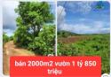 HẠ GIÁ TỪ 2.6 TỶ XUỐNG BÁN 1 tỷ 850 triệu - 2 sào đất vườn tổ 32 liên nghĩa-đức trọng -lâm đồng