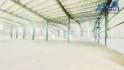 Cho thuê kho Long Thành dt 3000m2 giá chỉ 75 nghìn/m²