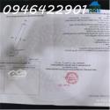 Bán đất Tại Lộc Thành, Lộc Ninh, Bình Phước, Giá Siêu Hời 485 Triệu, 1016.7m2
