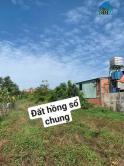 Chính Chủ Cần Bán Đất Tại Trảng Bom