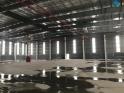 Cho thuê nhà xưởng 5.000m2 tại khu công nghiệp Quế Võ – Bắc Ninh ,PCCC tự động hút khói.