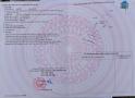 103m đấu giá khoang bèo xuân mai
