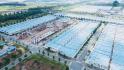 Bán Gấp Dãy Trọ Sẵn Thu Nhập 12tr/tháng 300M2 - Sổ Sẵn