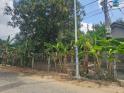 Bán Lô Đất 471m² Chính Chủ Tại Cam Tân, Cam Lâm – Giá Tốt, Có Thương Lượng.