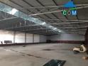 Cho Thuê Nhà Kho 380M2 Tại Hoà Quý, Giá Tốt Chỉ 15 Triệu