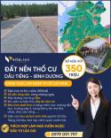 Đất nền phân lô Dầu Tiếng, Bình Dương chỉ 250 triệu, 200m2, sổ sẵn từng nền