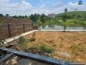 Chính chủ cần bán nhà khuôn viên đẹp bám ao, view núi, tiện cho nghỉ dưỡng