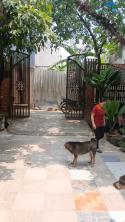 Bán nhà 16/23/18 đường số 9, Bình Hưng Hoa, Quận Bình Tân - HCM